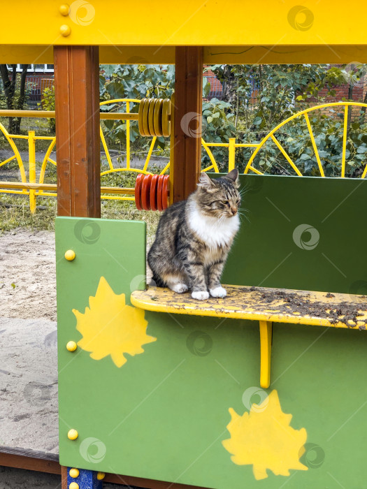 Скачать Грустная бездомная кошка с зелеными глазами работает на строительстве детской площадки фотосток Ozero