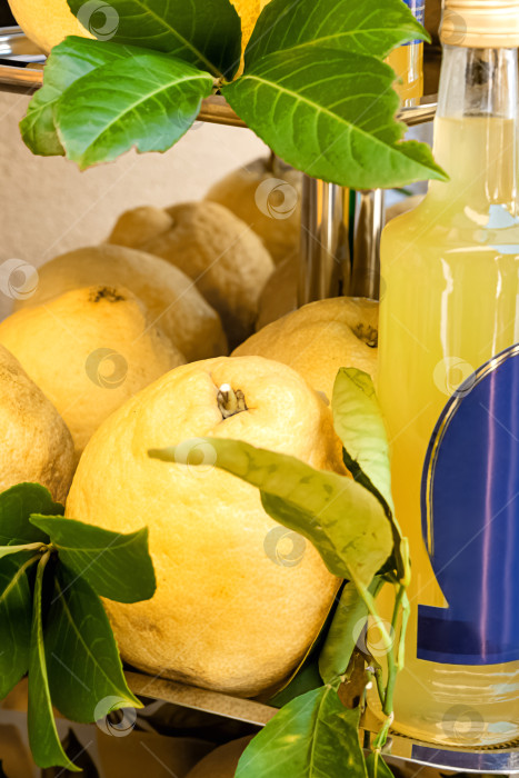 Скачать Бутылка лимонного ликера и свежие лимоны на прилавке магазина фотосток Ozero