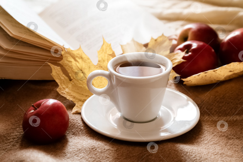 Скачать Кофейная чашка, наполненная горячим эспрессо, на бежевом шерстяном одеяле рядом с открытой книгой и красными яблоками, рассыпанными в солнечном свете фотосток Ozero