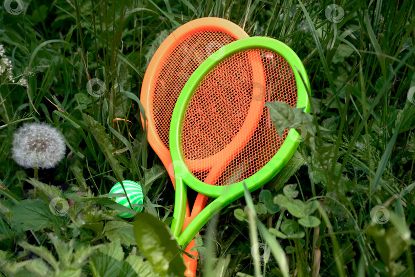 Скачать Игрушечные теннисные ракетки с мячом, лежащие на траве. Активные игры на свежем воздухе в летний сезон фотосток Ozero