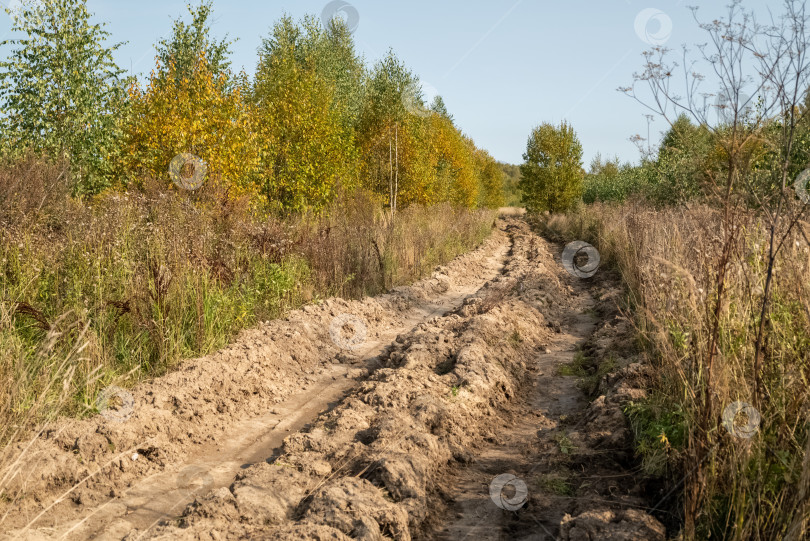 Скачать разбитая грунтовая дорога в сельской местности фотосток Ozero