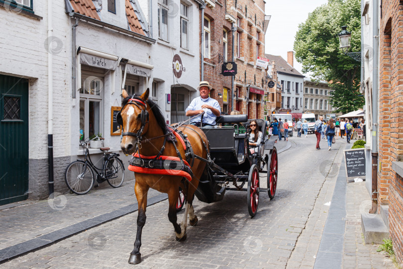 Скачать Экскурсионная туристическая повозка, запряженная лошадьми, в Брюгге фотосток Ozero
