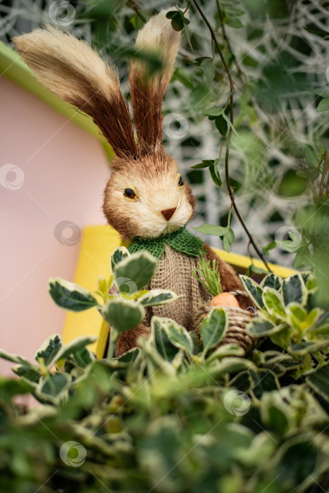 Скачать пасхальный кролик и декор из зеленых растений фотосток Ozero