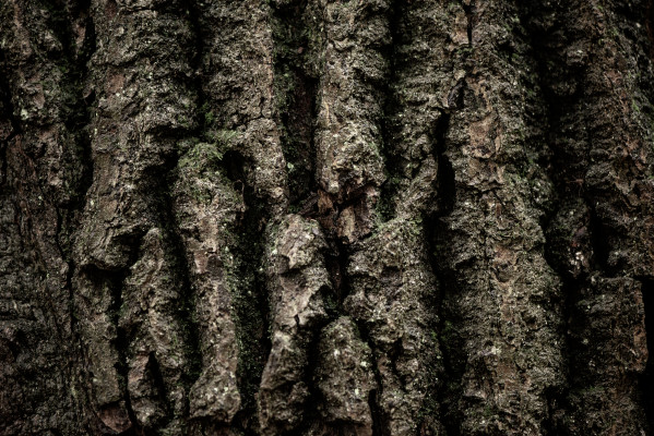 [object Object] undefined