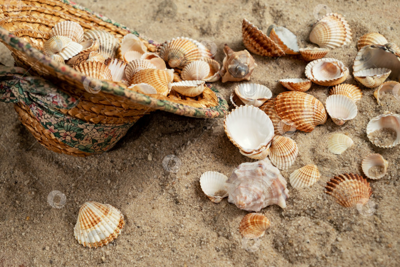 Скачать Соломенную шляпу, наполненную собранными на берегу ракушками, бросают на песок на пляже фотосток Ozero