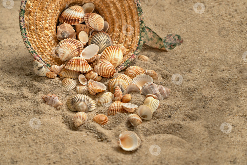 Скачать Ракушки высыпались из соломенной шляпы, брошенной на песчаном пляже фотосток Ozero