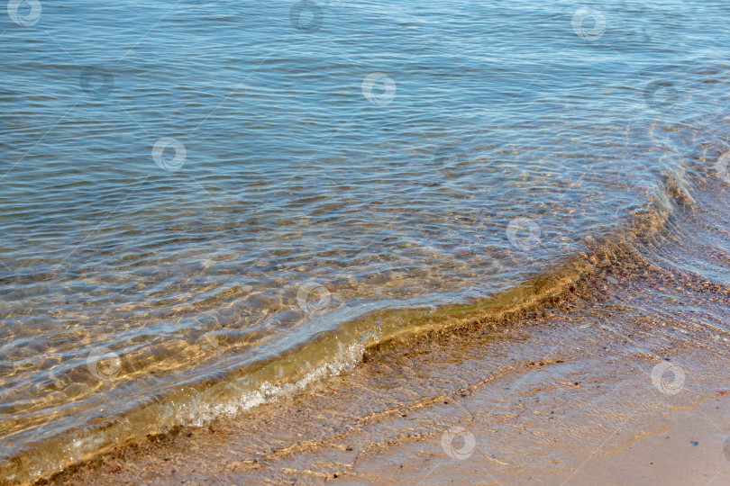 Скачать Прозрачная вода Балтики фотосток Ozero