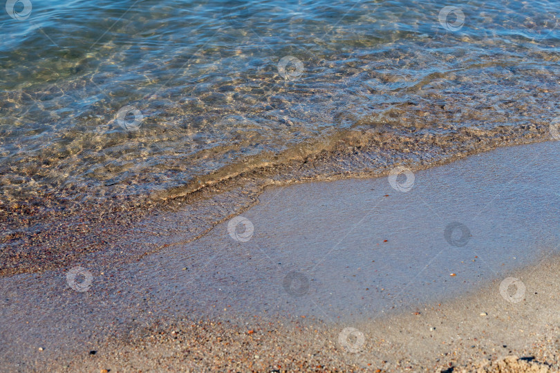 Скачать Прозрачная вода на побережье Балтики фотосток Ozero