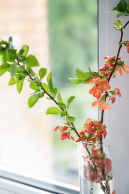 [object Object] undefined