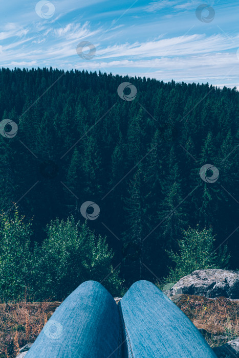 Скачать Неузнаваемый человек, сидящий на горе в диком лесу, местное путешествие. Наедине с природой. фотосток Ozero