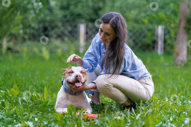 Скачать Молодая самка гладит американского питбультерьера на траве в парке. Счастливый щенок с открытым ртом фотосток Ozero