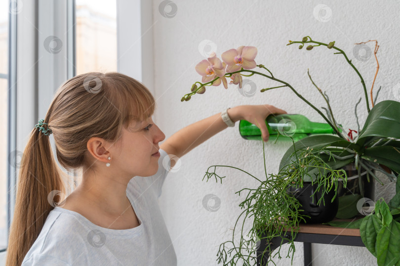 Скачать Молодая леди поливает орхидею из пластиковой бутылки на балконе. Домашнее гадание фотосток Ozero