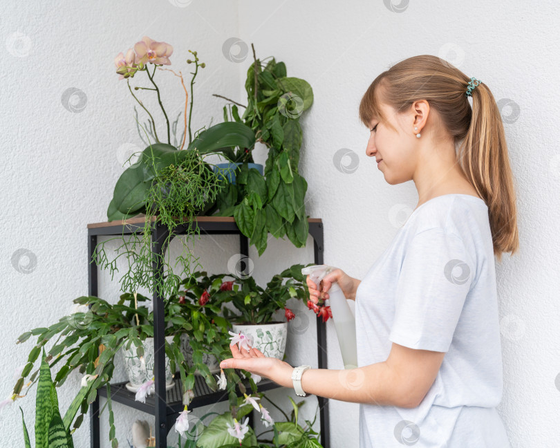 Скачать Женщина опрыскивает лепестки цветов. Забота об окружающей среде. Садоводство на балконе фотосток Ozero