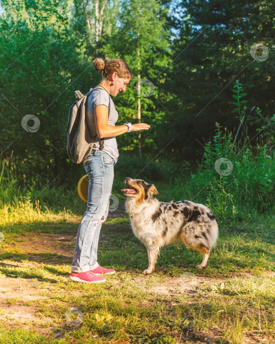 Скачать Улыбающаяся счастливая женщина в повседневной одежде играет с собакой в парке летним днем фотосток Ozero