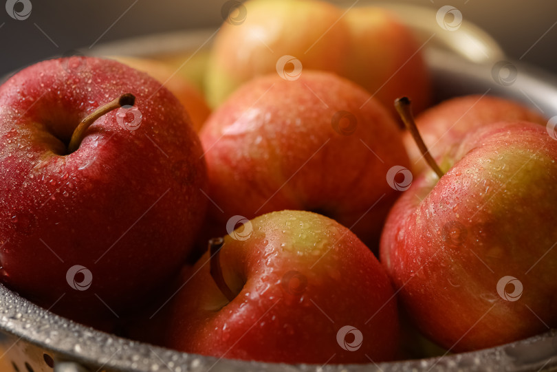 Скачать Красные спелые яблоки, покрытые каплями росы в миске крупным планом фотосток Ozero