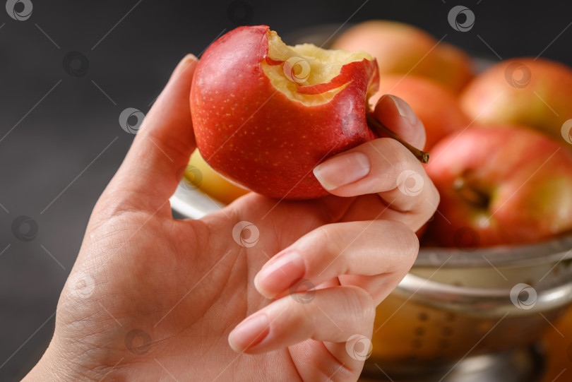 Скачать Надкусанное яблоко в руке человека на фоне металлической миски, полной красных спелых яблок. Здоровое питание. Ингредиенты для яблочного пирога. Готовим дома фотосток Ozero