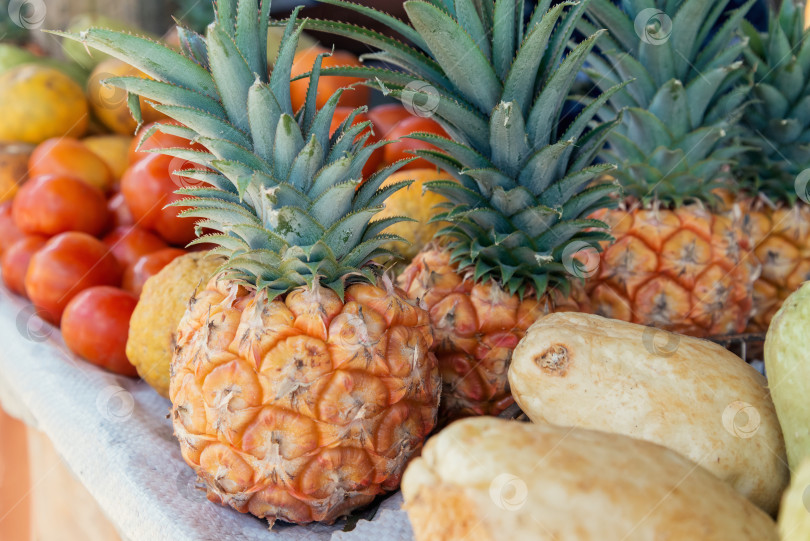 Скачать Вкусные тропические фрукты на прилавке рынка фотосток Ozero