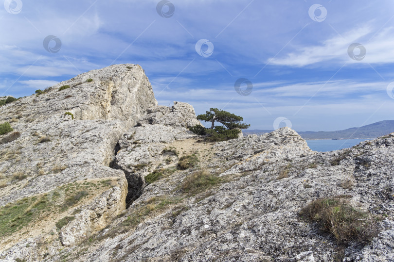 Скачать Глубокая трещина в скале. Крым фотосток Ozero