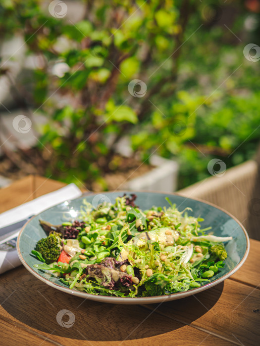 Скачать Свежий зеленый салат из смеси зеленых листьев фотосток Ozero