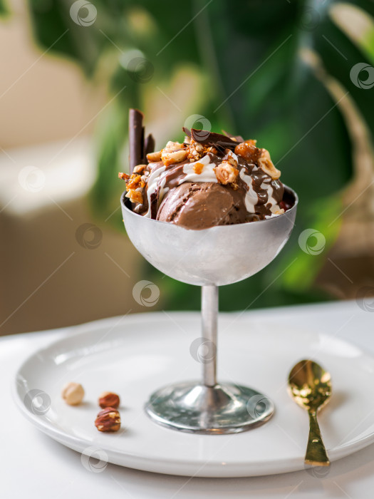 Скачать Шоколадное мороженое с фундуком и шоколадной крошкой фотосток Ozero