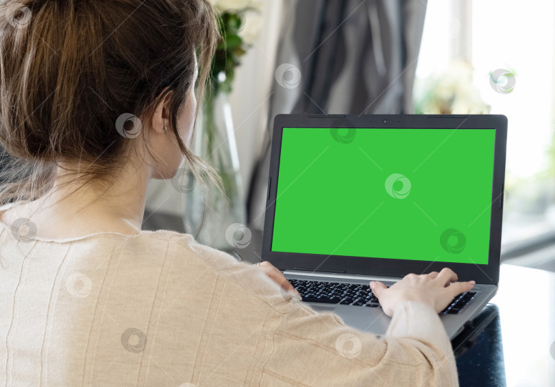 Скачать Женщина, использующая ноутбук с зеленым цветовым макетом монитора фотосток Ozero