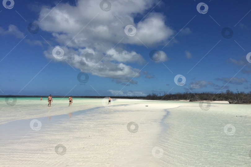 Скачать Тропический пляж с белым песком фотосток Ozero