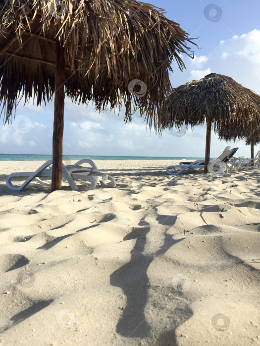 Скачать соломенные зонтики и шезлонги на пустынном тропическом пляже фотосток Ozero