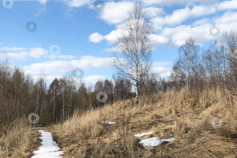 Скачать Ранний весенний пейзаж с холмом, покрытым сухой травой и тающим снегом фотосток Ozero