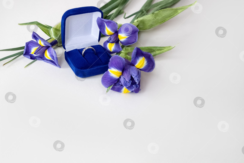 Скачать Подарок на день святого Валентина - букет цветов голубого ириса и обручальное кольцо в синей бархатной коробочке фотосток Ozero