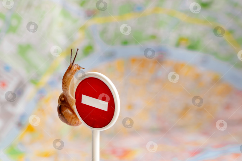 Скачать Крошечная улитка с рожками ползет вокруг запрещающего кирпичного дорожного знака на фоне карты города фотосток Ozero