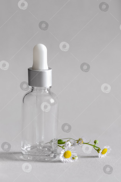 Скачать Прозрачный стеклянный флакон с сывороткой для косметических средств с пипеткой и цветками травы ромашки фотосток Ozero