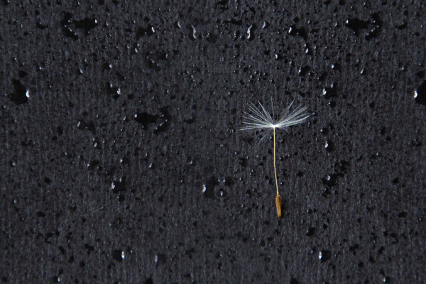 [object Object] undefined