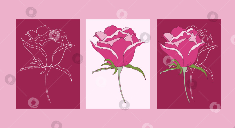 Скачать Три открытки с розами. фотосток Ozero