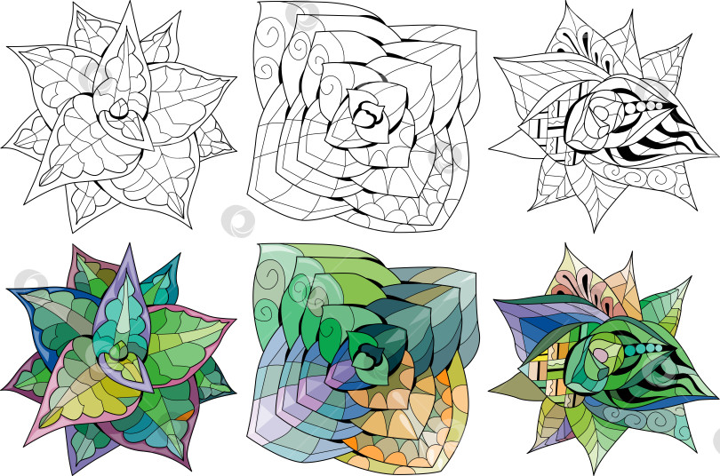 Скачать Набор комнатных растений-суккулентов для раскрашивания. Домашнее растение с принтом в виде городских тропических джунглей. Набор цветов и контуров фотосток Ozero