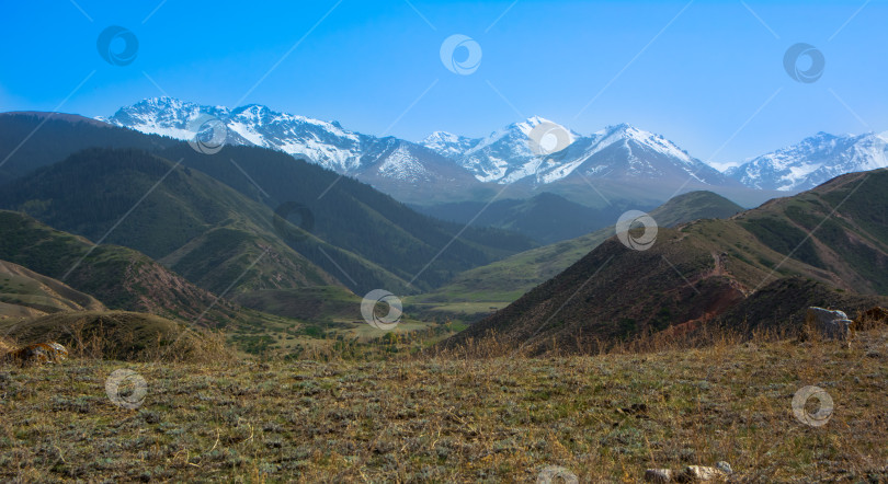 Скачать Панорамный вид с вершины горного ущелья в Кыргызстане. фотосток Ozero