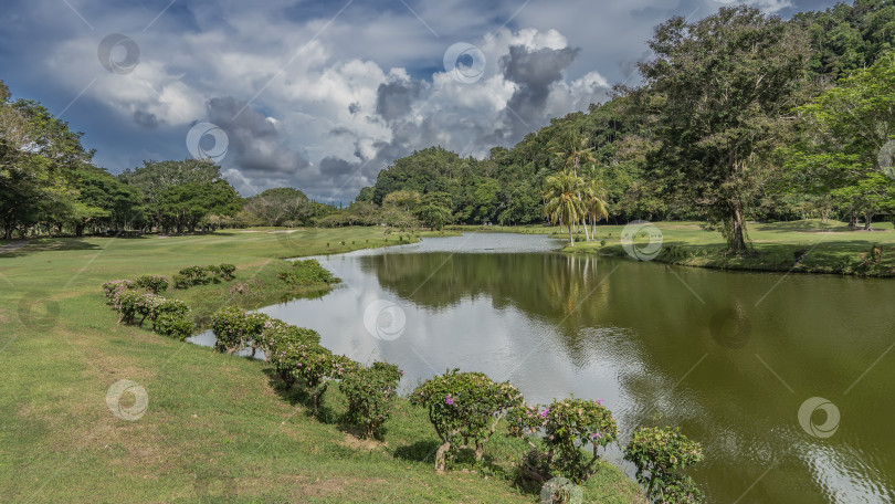 Скачать Спокойное озеро в тропическом парке. фотосток Ozero