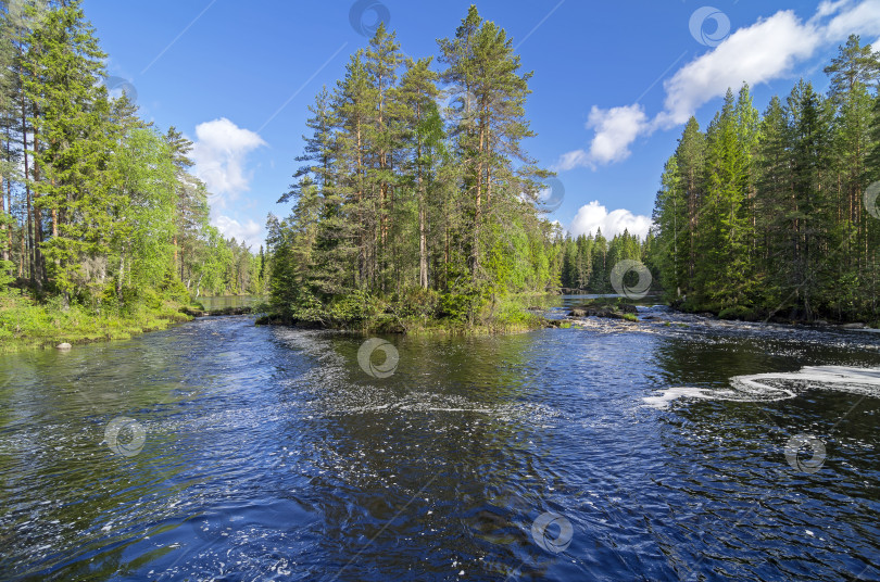 Скачать Река Шуя. Южная Карелия. фотосток Ozero