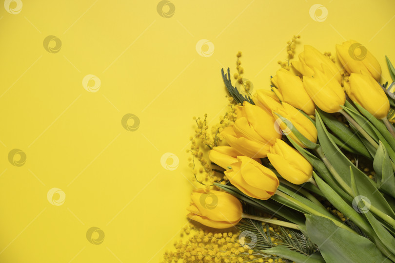 Скачать Букет желтых тюльпанов на желтом фоне, вид сверху на цветочный баннер фотосток Ozero