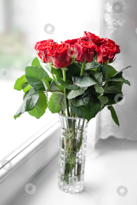 Скачать Букет свежих красных роз в вазе стоит на подоконнике фотосток Ozero