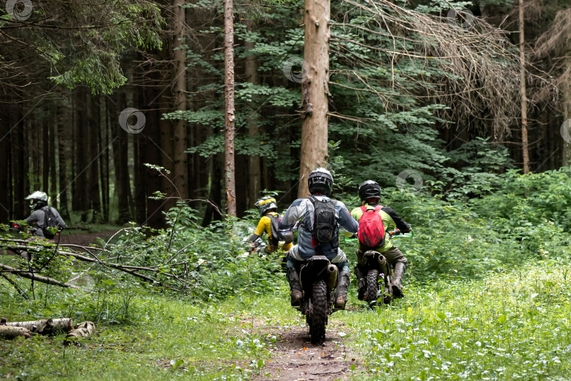 Скачать группа мотоциклистов в шлемах едет по лесной грунтовой дороге фотосток Ozero