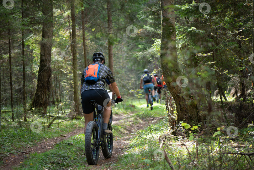 Скачать группа велосипедистов едет по лесной дороге фотосток Ozero