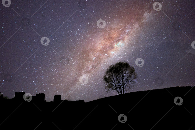 Скачать Силуэт одинокого дерева под звездным ночным небом фотосток Ozero