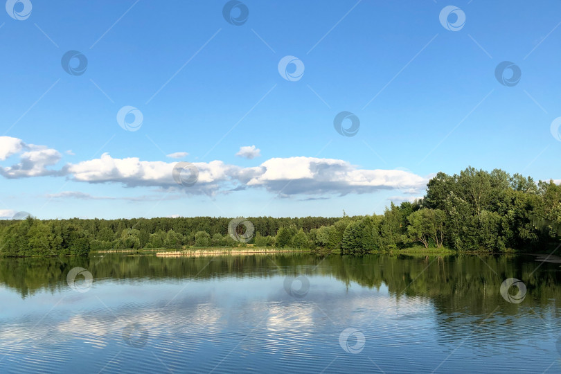 Скачать летний день на лесном озере фотосток Ozero