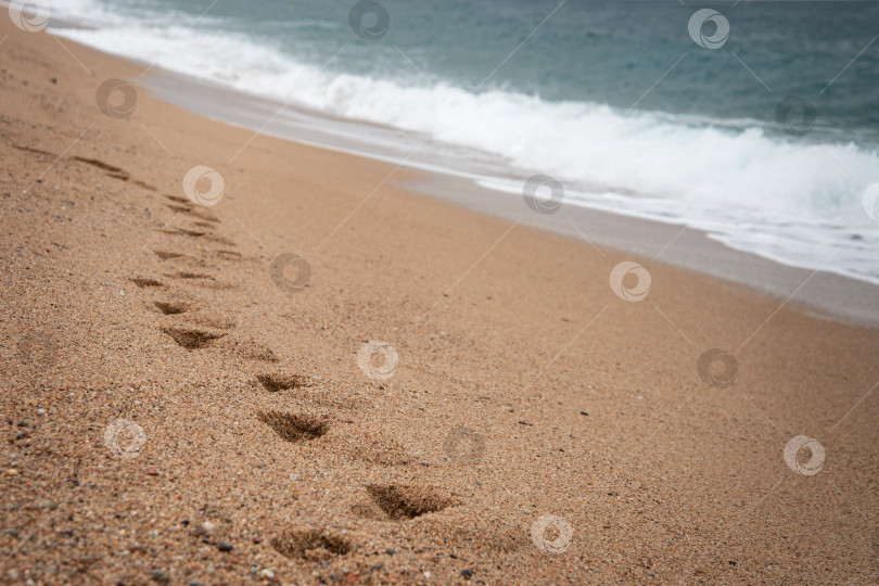 Скачать морские волны стирают следы на песке фотосток Ozero