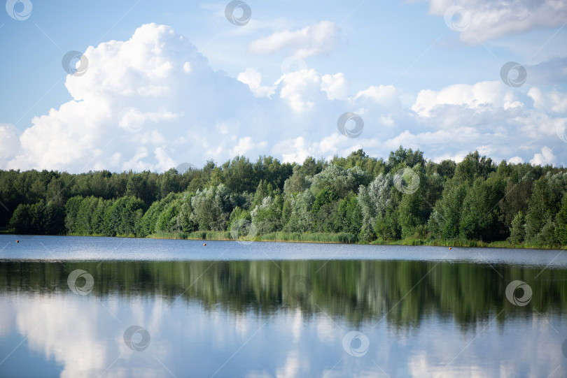 Скачать Летнее лесное озеро с облаками, отражающимися в водном пейзаже фотосток Ozero