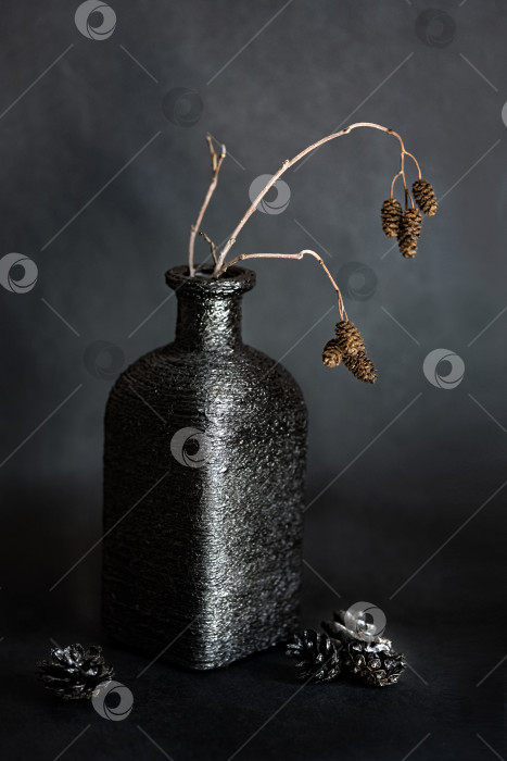 Скачать Ветка дрейды в черной квадратной бутылочной вазе на темном фоне интерьера фотосток Ozero