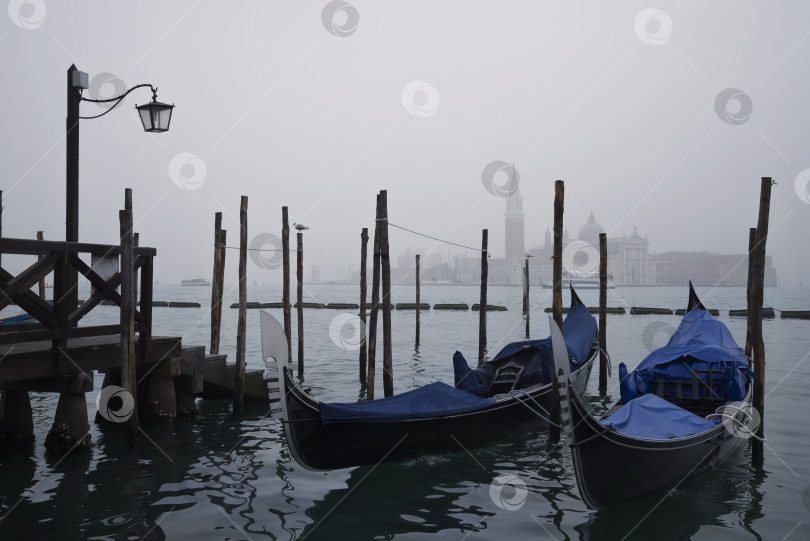 Скачать Пункт назначения: Венеция фотосток Ozero