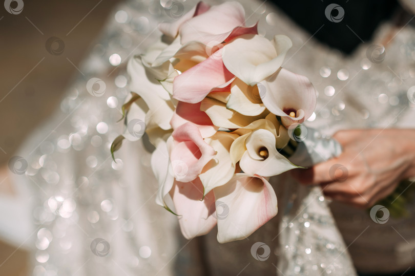 Скачать Букет цветов каллы в руках невесты 4024. фотосток Ozero