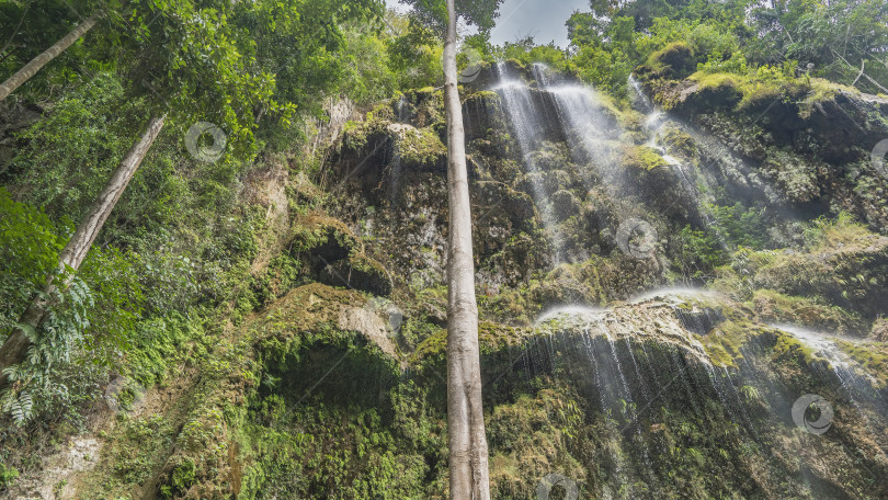 Скачать Красивый тропический водопад. Вид снизу. фотосток Ozero