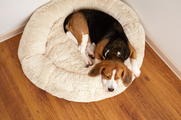 [object Object] undefined